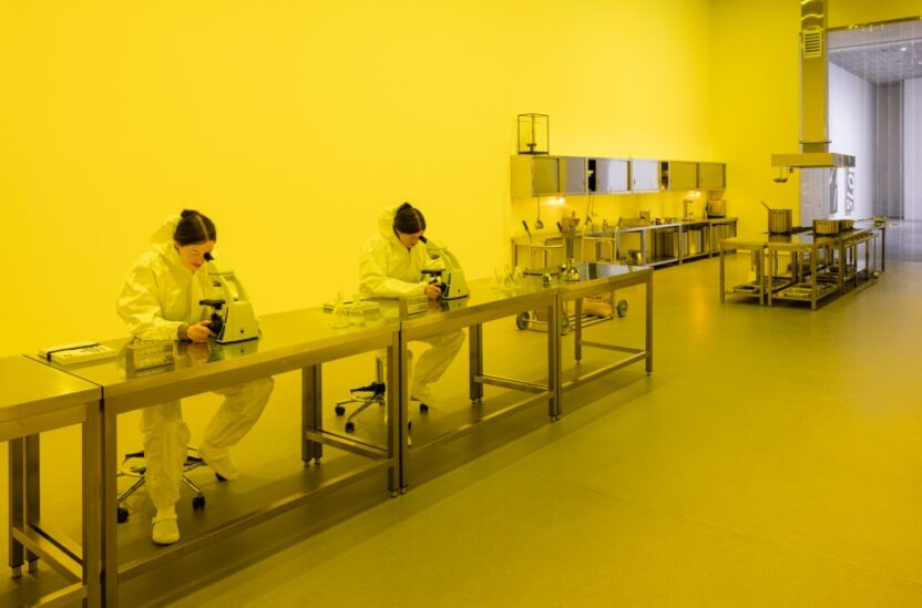 아모레퍼시픽미술관에 들어선 대형 수영장? 엘름그린 & 드라그셋 6 4.Elmgreen Dragset Untitled the kitchen 2024 Photo Andrea Rosetti