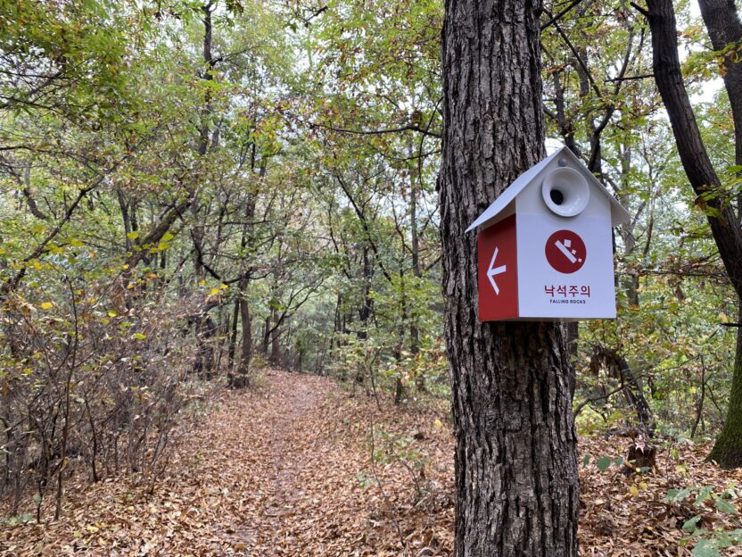 고려대련요양병원 사인 디자인 프로젝트 4 IMG 9489