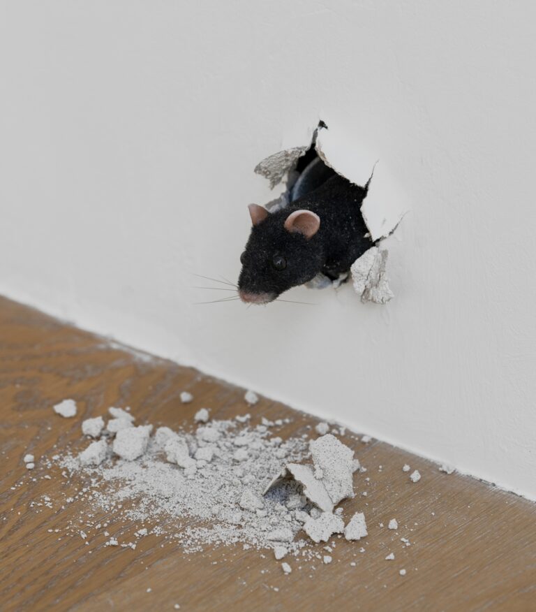 13년 만에 돌아온 세계적인 아트 컬렉터, 피노 컬렉션 21 13년 만에 돌아온 세계적인 아트 컬렉터, 피노 컬렉션