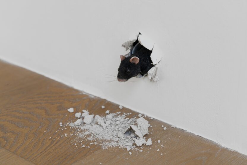 13년 만에 돌아온 세계적인 아트 컬렉터, 피노 컬렉션 1 resize 8. L2 Lounge 2