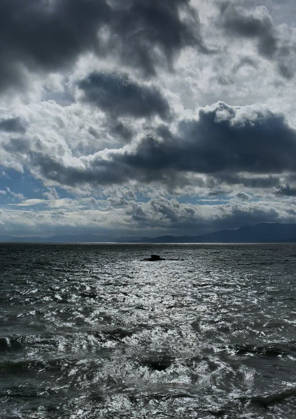 스크린샷 2024 09 30 224156