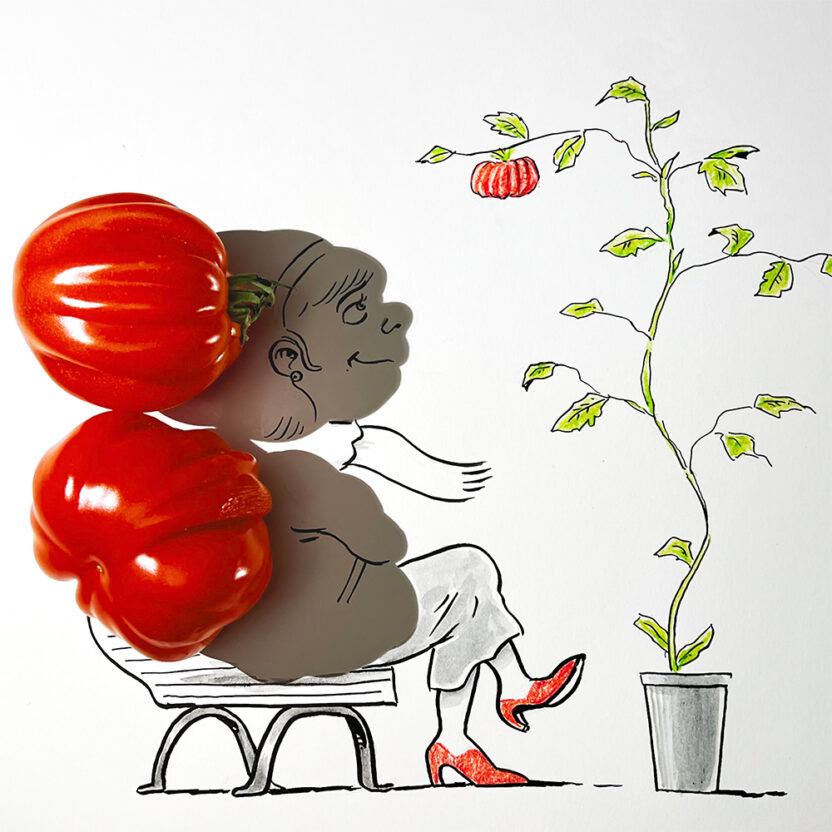 예술 작품이 된 그림자, 섀도우올로지스트 빈센트 발 7 Soul Tomates