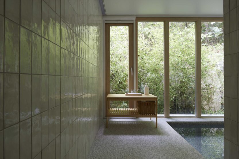 몸이 기억하는 숲, 모자이크 노지 5 0927pwj 0217 1