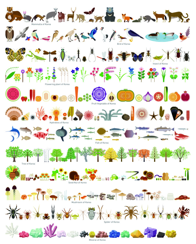 아메바의 정보 그래픽 DB 4 150429000004350 O 1