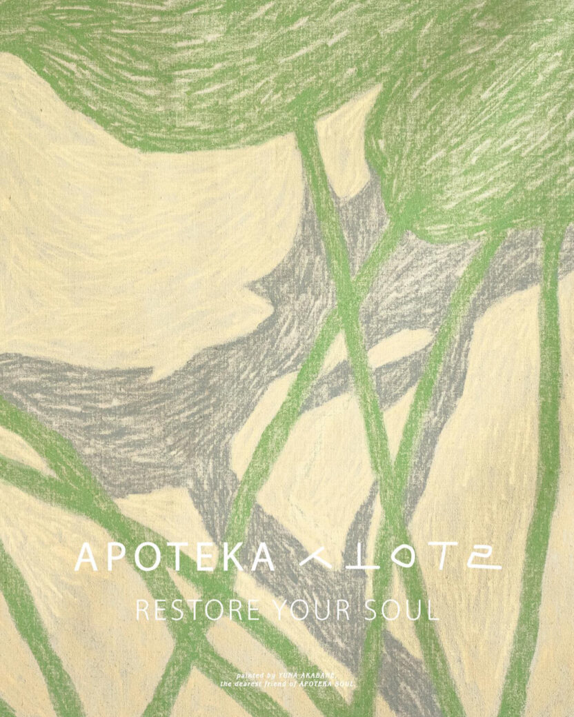 356393726 167166906349023 8546929524477176560 n 복사