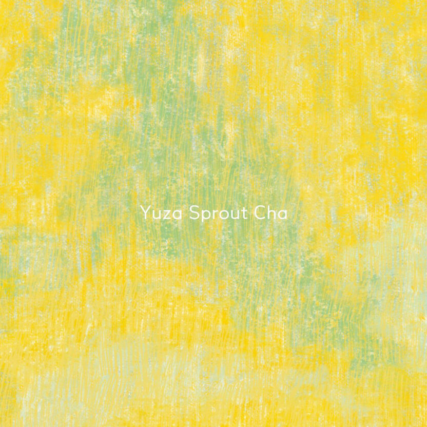 356422763 650134253680020 7320502485881554875 n 복사