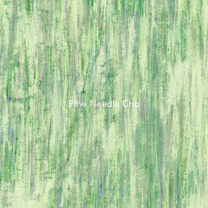 356795060 1224325178284397 6628624314274721122 n 복사