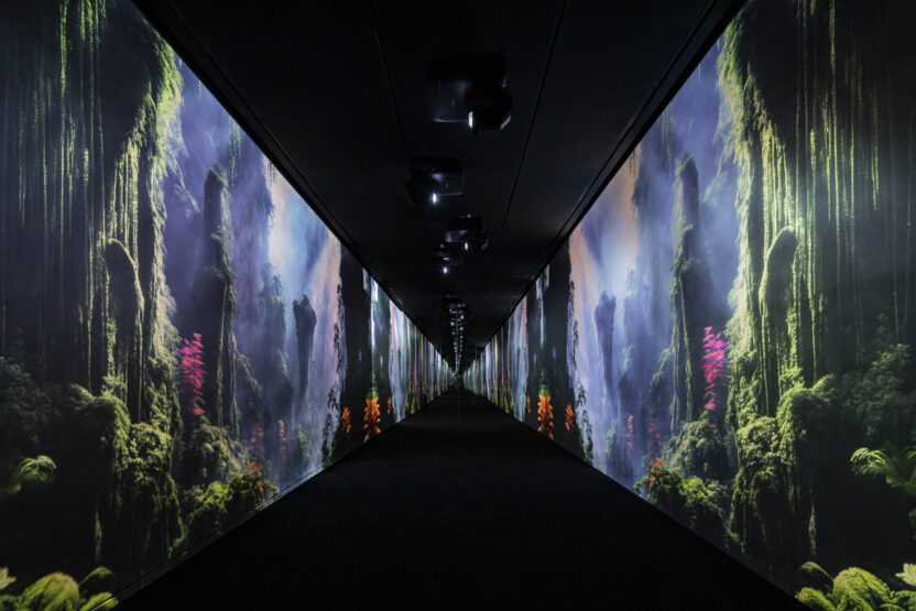 FURUTA SEOUL 전시전경 대지의 메아리 살아있는 기록 보관소 사진 최용준 6 복사