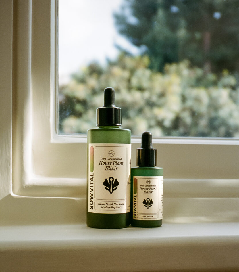 영국 플랜트 케어 브랜드가 서울에 진출한 이유는? 6 press2