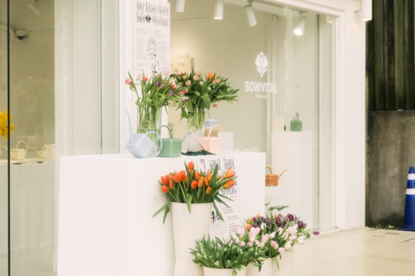 영국 플랜트 케어 브랜드가 서울에 진출한 이유는? 2 resize Sowvital 4