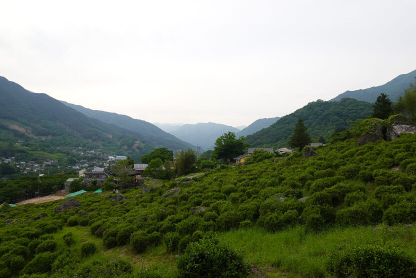 디자인프레스 004