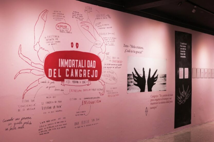 여성의 감각과 창의성을 담아낸 멕시코의 혁신적 듀오, 플라밍게테스 10 07a