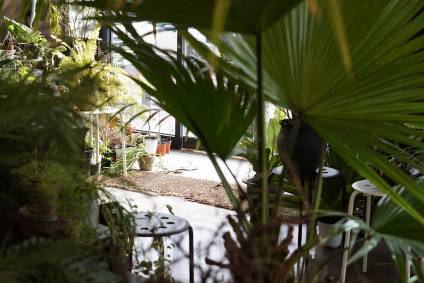 식물 디자인과 예술을 접목시키는 방법 5 111 2