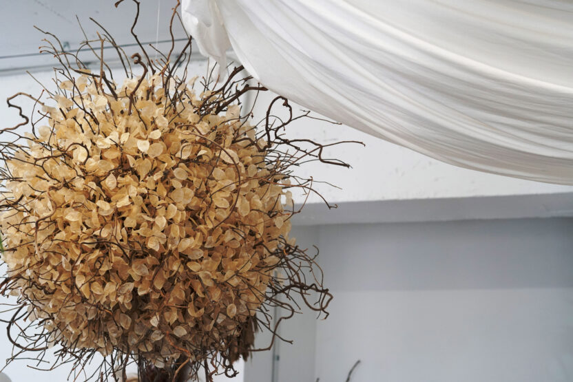 식물 디자인과 예술을 접목시키는 방법 16 1112