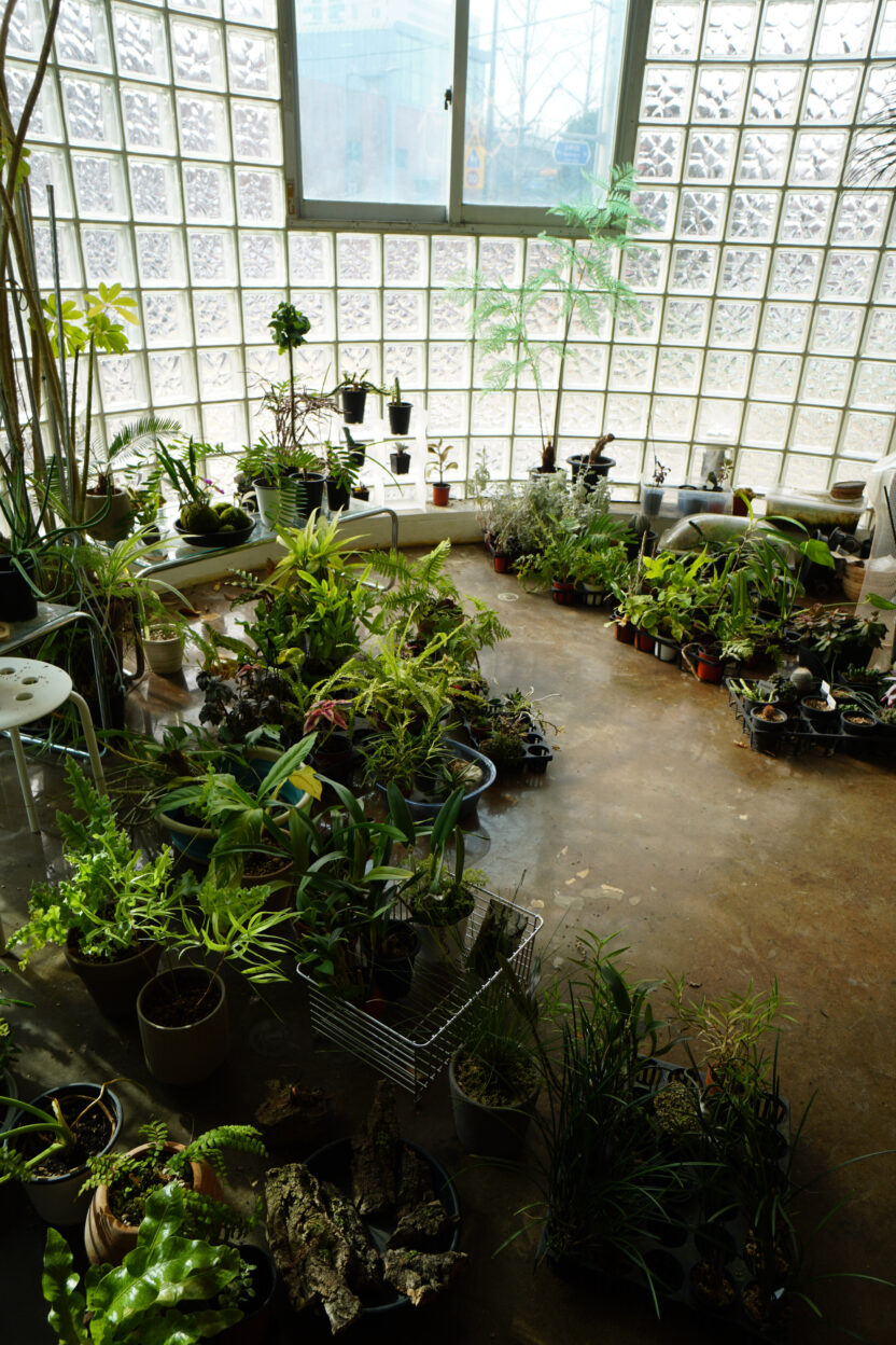 식물 디자인과 예술을 접목시키는 방법 6 14231