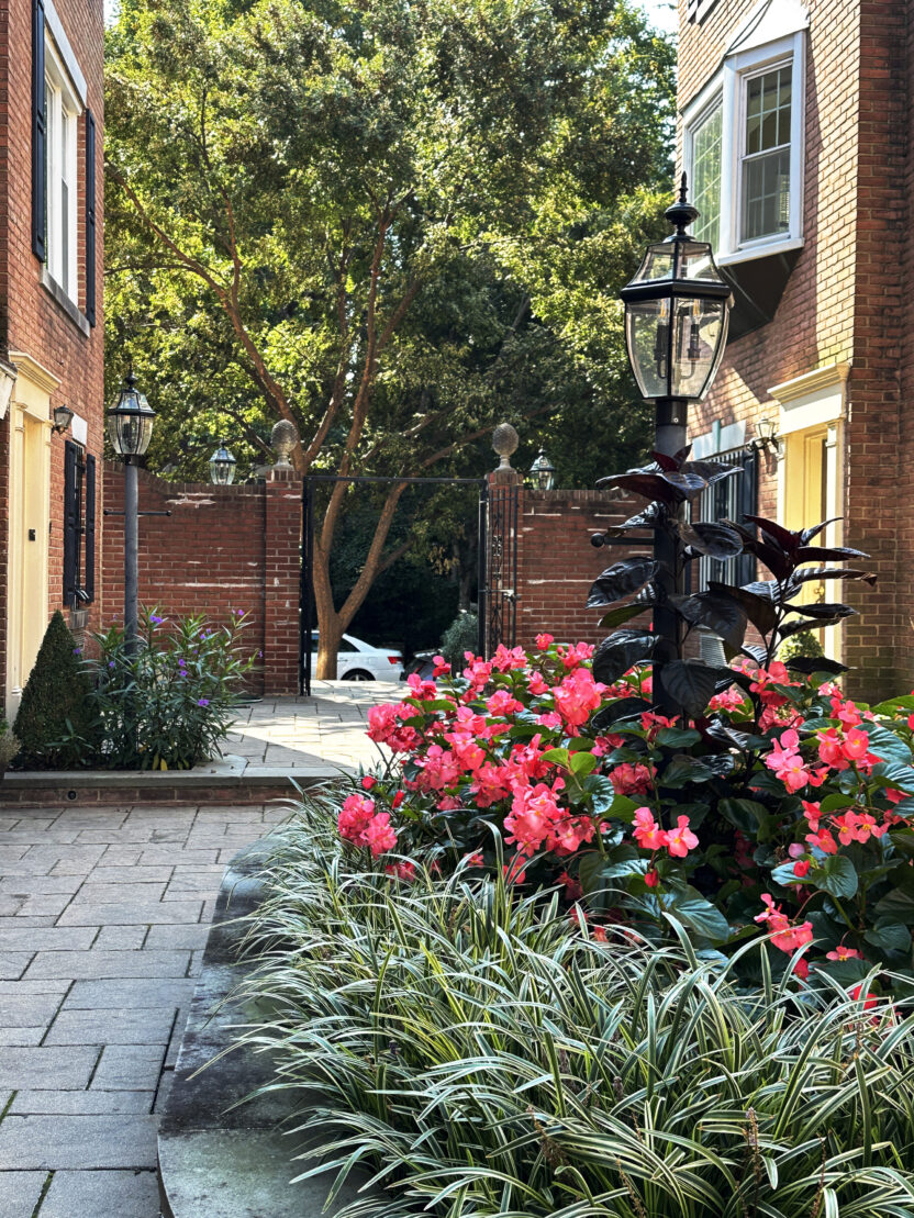 식물 디자인과 예술을 접목시키는 방법 15 20241228 085438