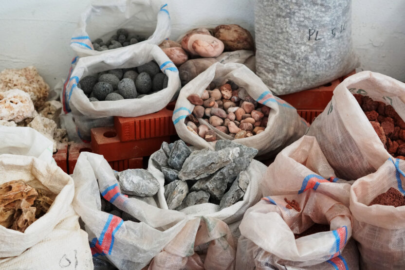 식물 디자인과 예술을 접목시키는 방법 2 20241229 070645