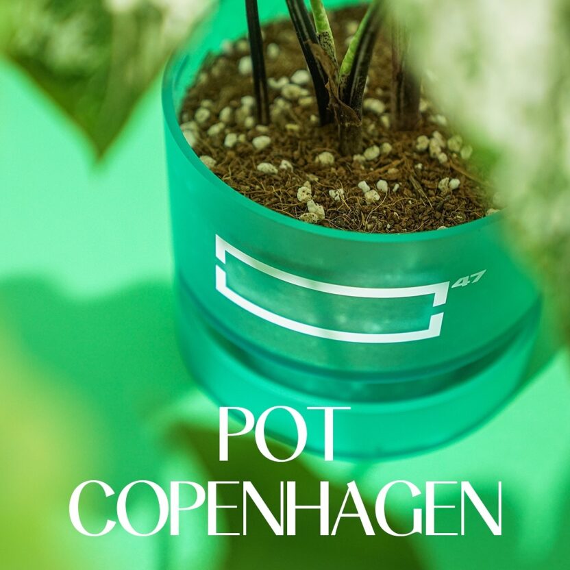 2025 서울색, 그린오로라 GreenAurora 5 448622100 969531604642963 7466004595528736048 n