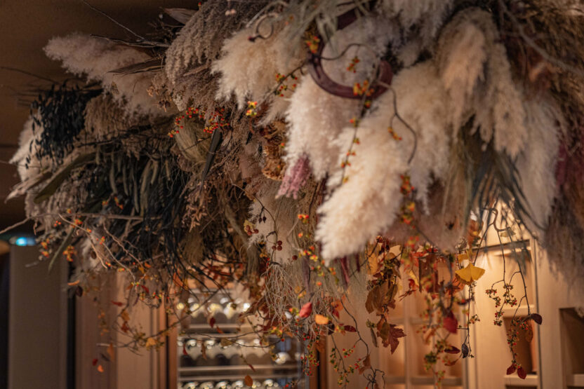 식물 디자인과 예술을 접목시키는 방법 14 555