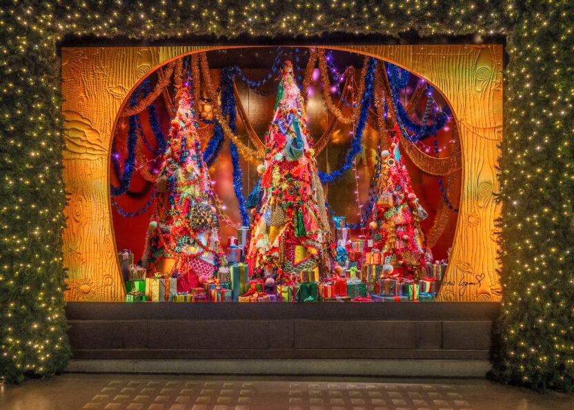 쇼윈도에 펼쳐진 크리스마스의 마법 5 6 21