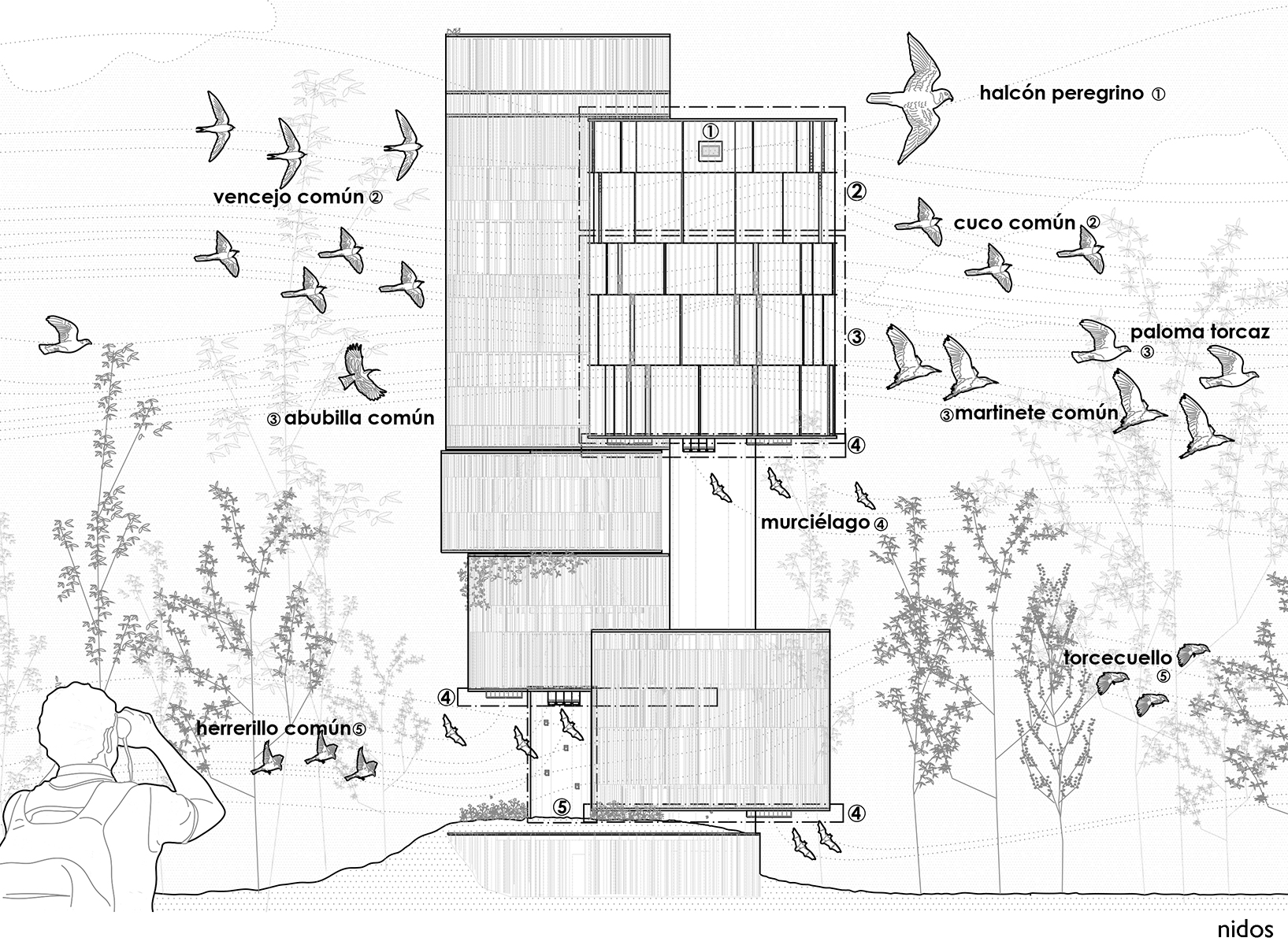 새들을 위해 만들어진 숲 속의 공공시설 2 NEST PLAN