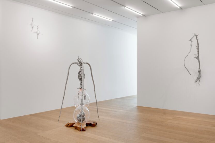 한국 동시대 미술의 지금, <제24회 송은미술대상전> 8 resize 03. 오묘초