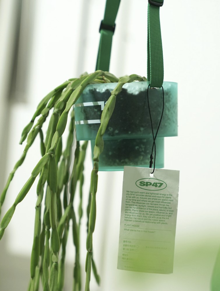 2025 서울색, 그린오로라 GreenAurora 6 화면 캡처 2024 12 05 115943