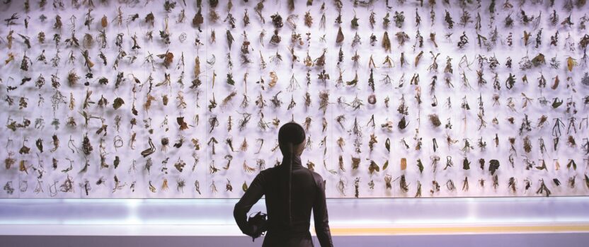 2025년 주목해야 할 국내 전시 11 12 20250108 082002