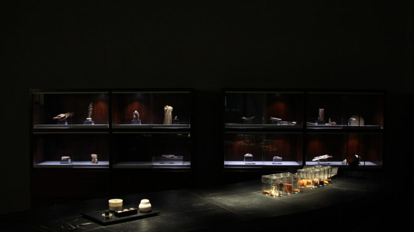 향에 이끌려 차에 머무르다, 일지(ilji) 안국점 1 20250120 011121