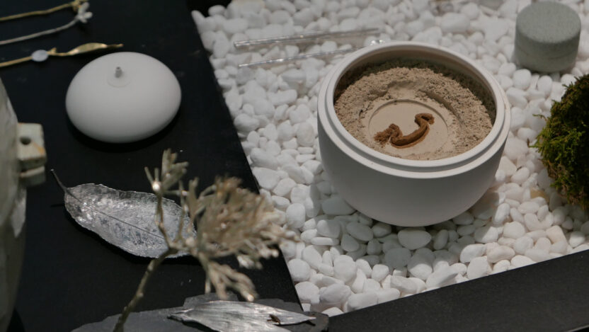 KakaoTalk 20250110 125146864