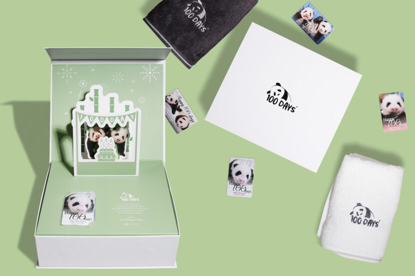 everland panda twins 7