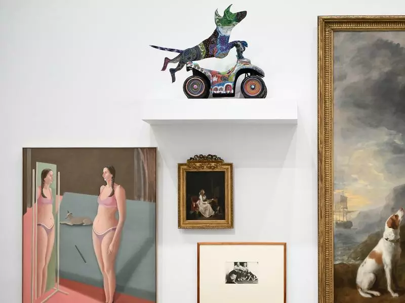 예술 작품이 된 반려동물을 만나다 3 2 1