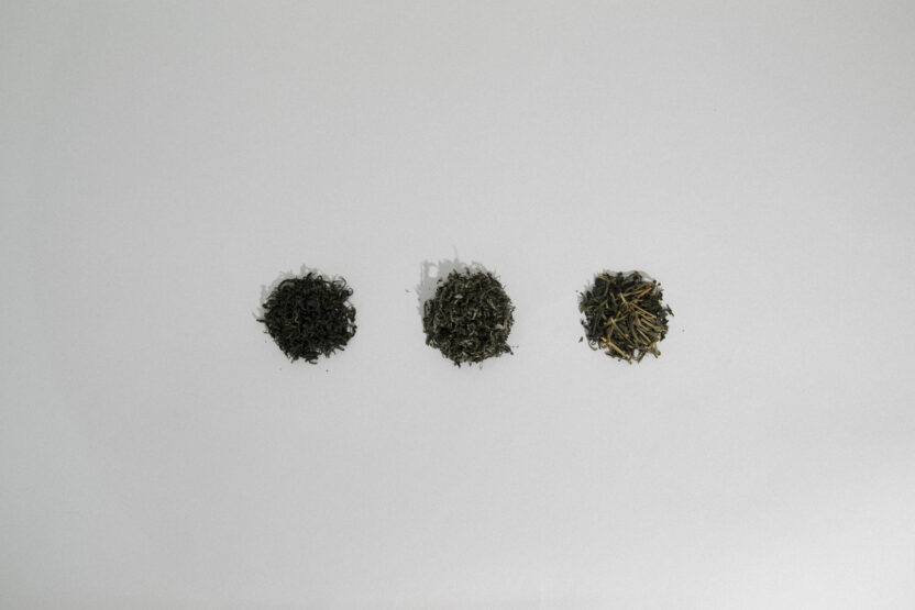 차를 통해 마주하는 나의 초상, 포트레이츠앤드피플 5 20250207 062019