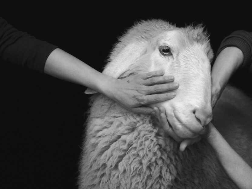 2025년을 물들일 네덜란드 주요 전시 7 20250207 072457