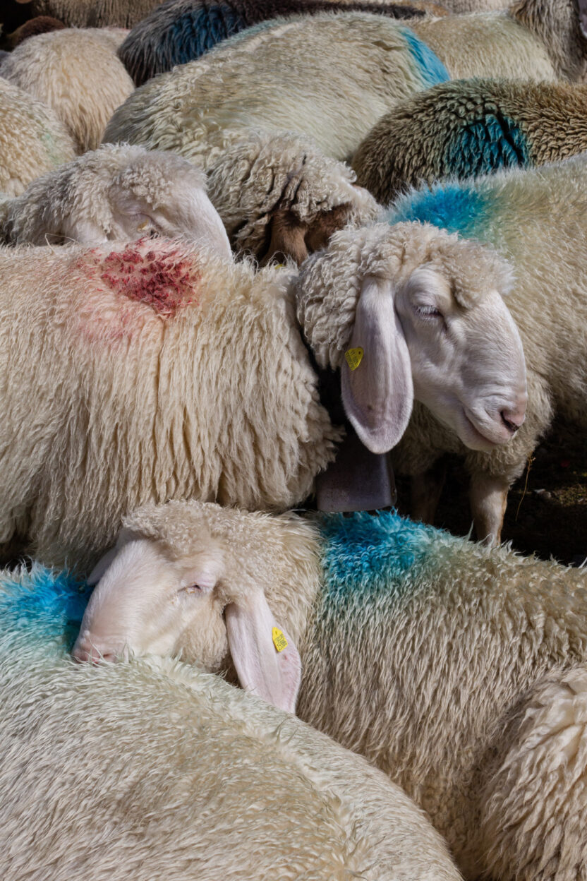 2025년을 물들일 네덜란드 주요 전시 8 20250207 072507