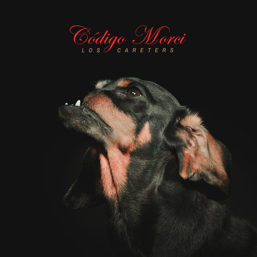 나무 한 그루를 책임질 수 있는 디자인을 향해 2 20250212 021345