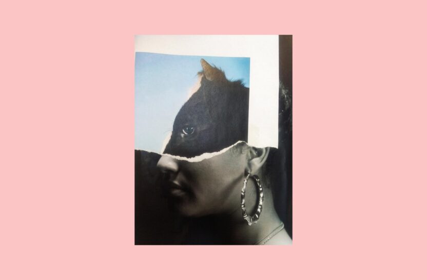 나무 한 그루를 책임질 수 있는 디자인을 향해 6 20250212 021638