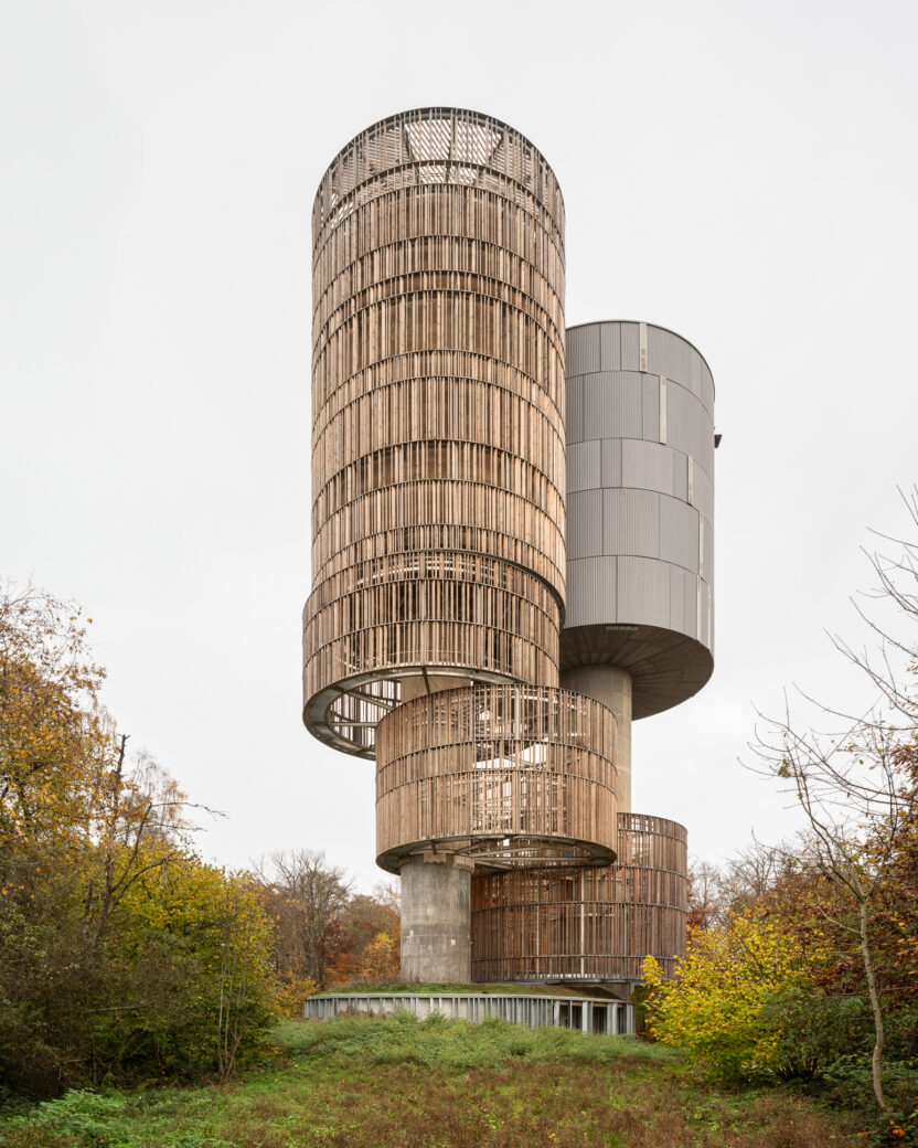 새들을 위해 만들어진 숲 속의 공공시설 7 241128 MFG LX 2 BAJA 00002