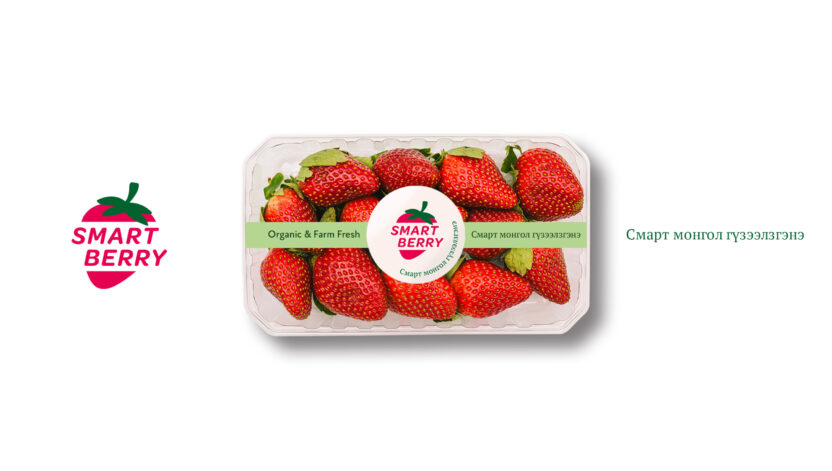 몽골에 부는 스마트팜 혁신 1 41 1