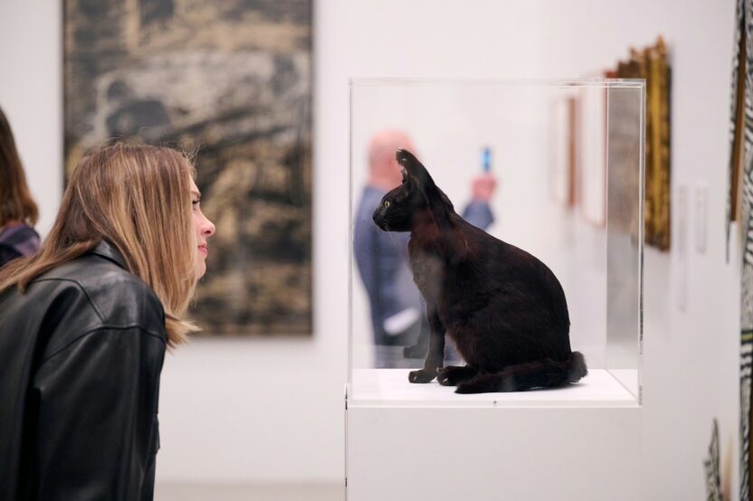 예술 작품이 된 반려동물을 만나다 6 5 2 1