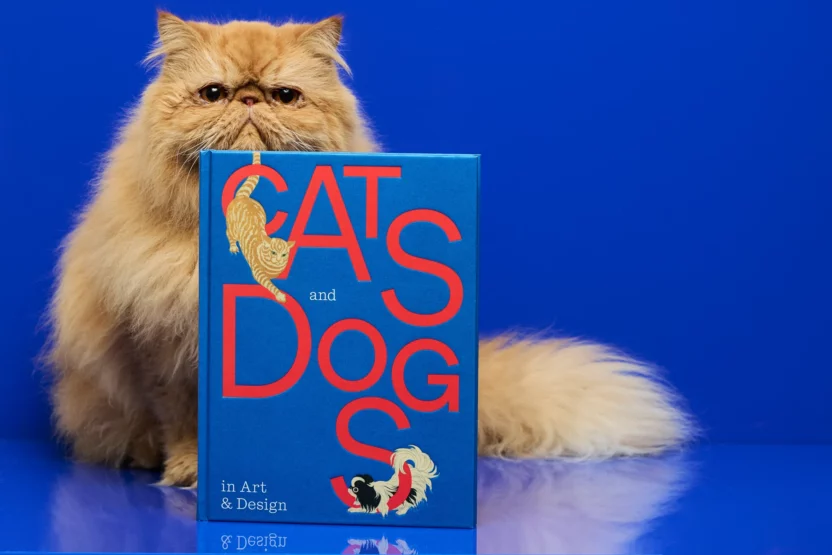 예술 작품이 된 반려동물을 만나다 9 6