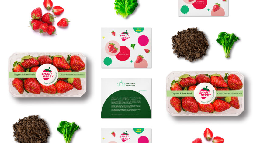 몽골에 부는 스마트팜 혁신 3 61