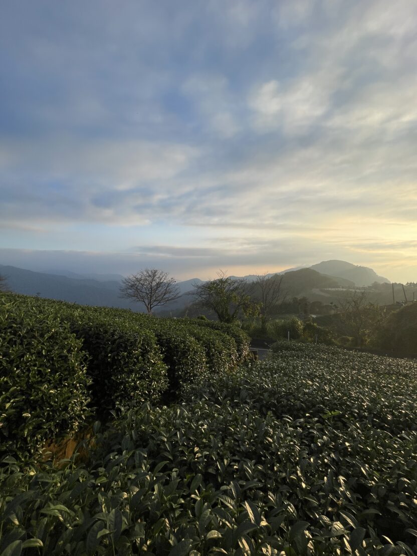 차를 통해 마주하는 나의 초상, 포트레이츠앤드피플 4 IMG 4277 2