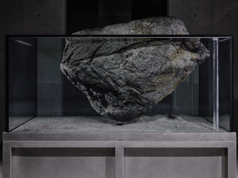 피에르 위그 전시 〈리미널〉, 리움미술관에서 펼쳐지는 경계의 실험 4 20250306 010759