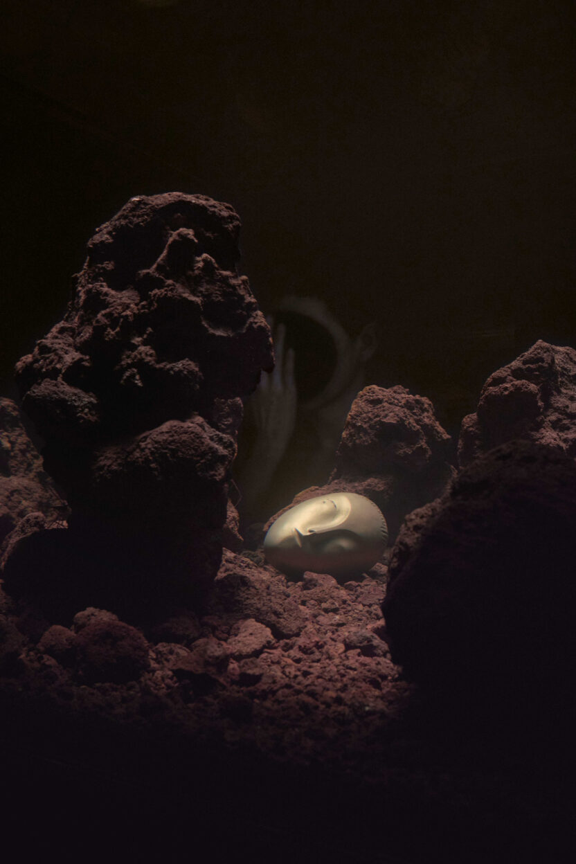 피에르 위그 전시 〈리미널〉, 리움미술관에서 펼쳐지는 경계의 실험 6 20250306 011249