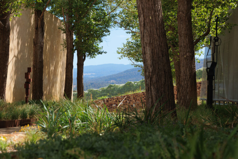 호주 타라와라 미술관의 새로운 문화 허브 5 6 5