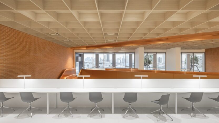 Onion King s College 028