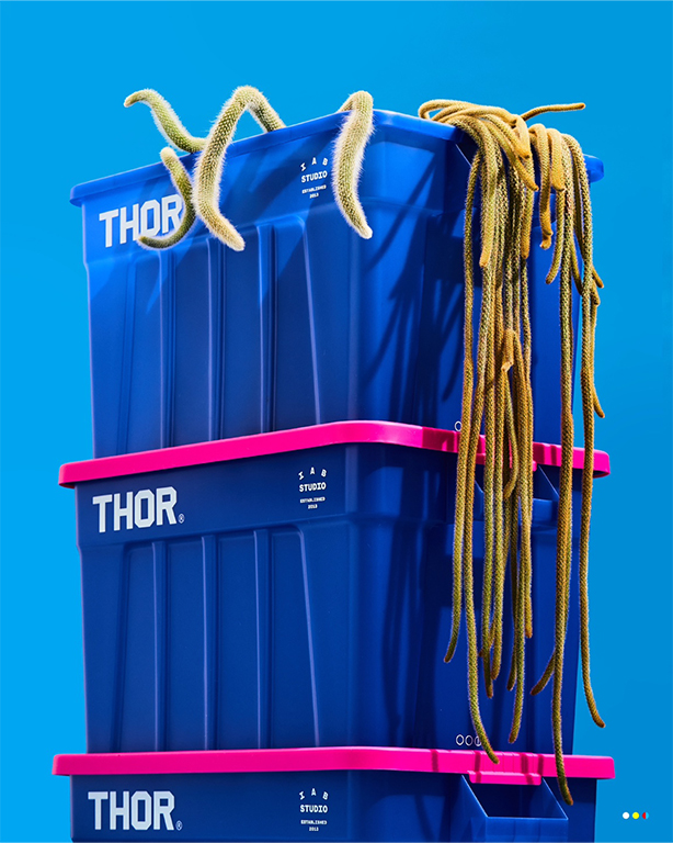 thor2