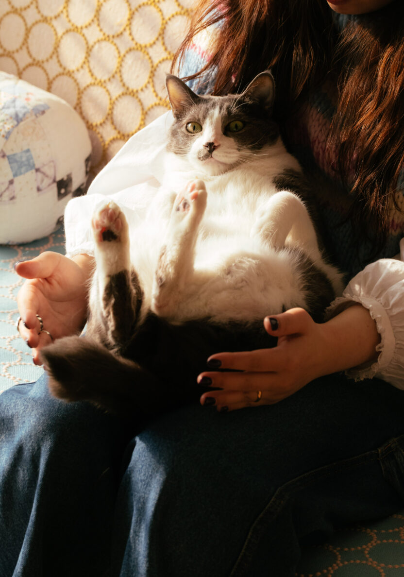 맥락 속에서 교차하는 사진, 텍스처 온 텍스처 8 07 00001