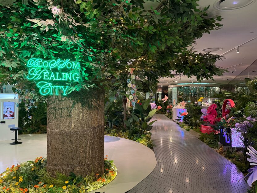 디자인으로 시너지를 창출하는 뷰티 브랜드 서포터, 비더비 1 IMG 4112